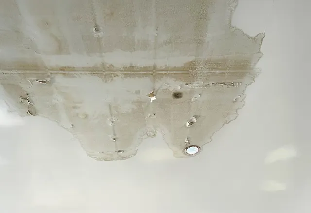 Elite Home & Mold Inspections
