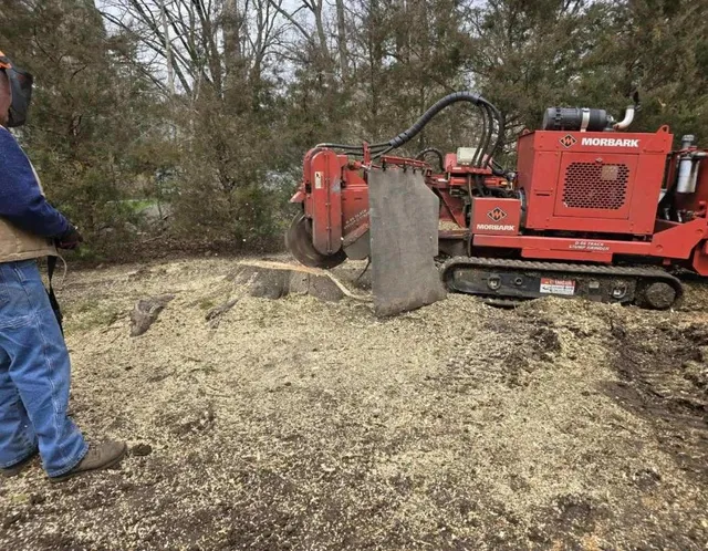 work photo from superiorstumpgrinding.com