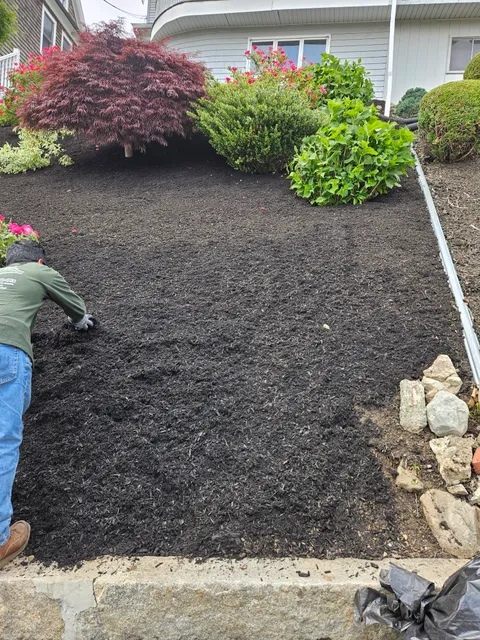 B & S Landscaping & Tree Removal Services LLC work photo