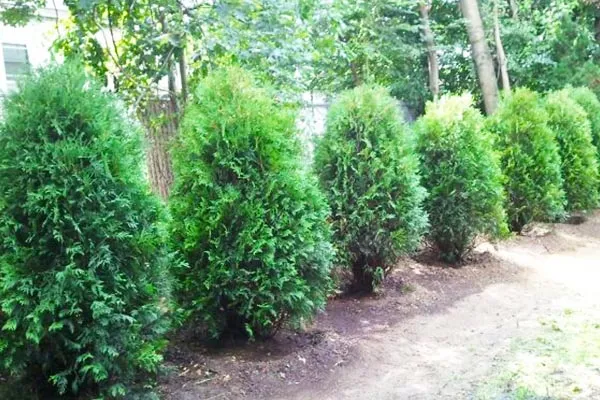 W.B. Roberts Landscape Construction Inc