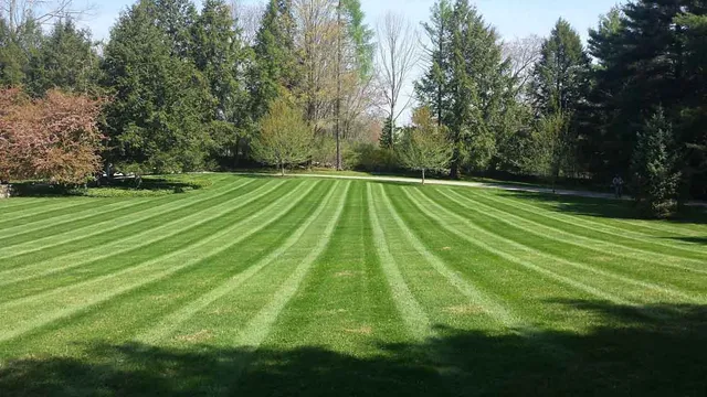 Landscaping near Danbury, CT