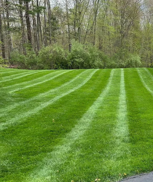 Grassy Turtle Services, LLC. work photo