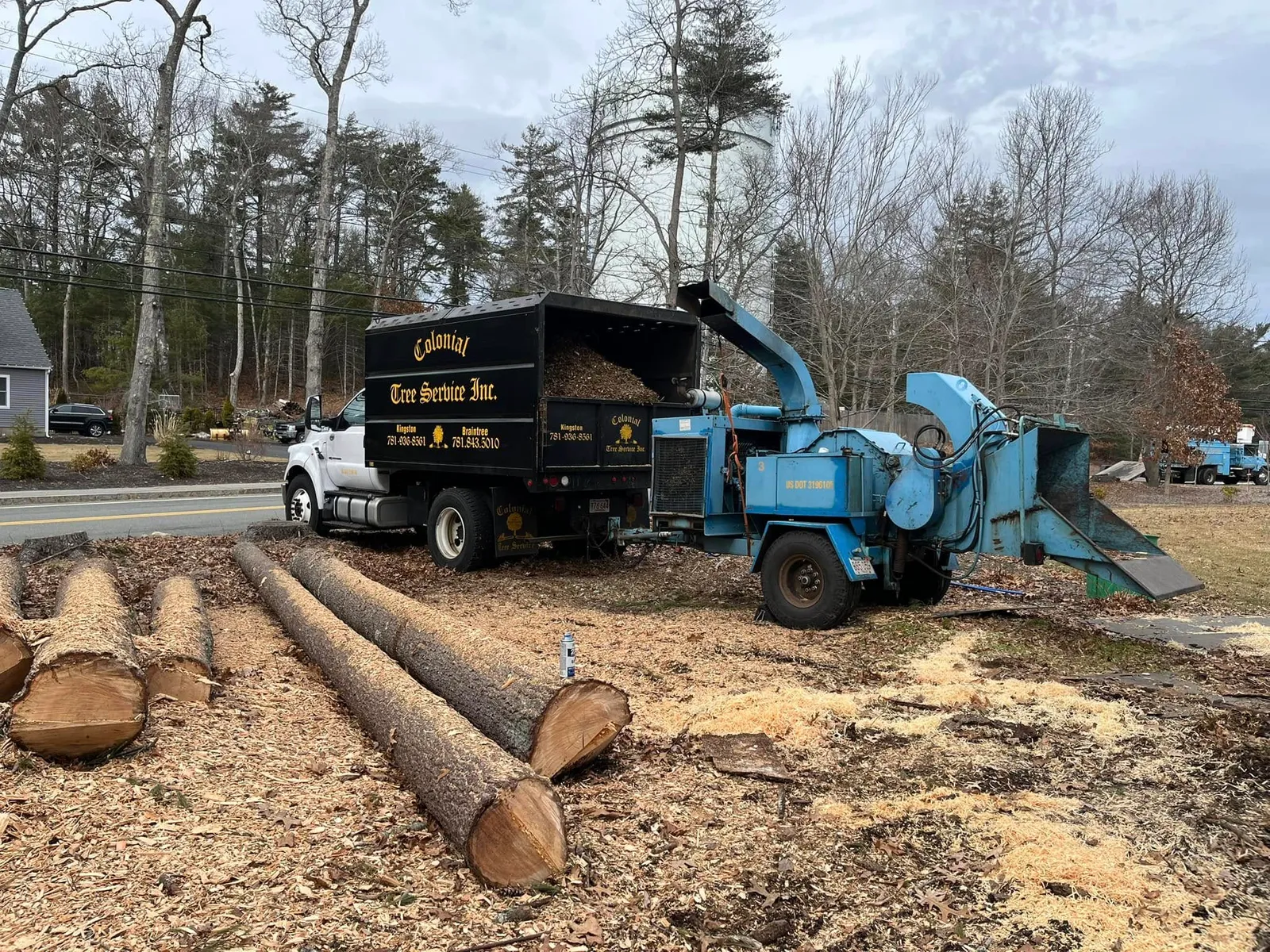 work photo from treeservicekingston.net