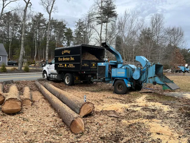 work photo from treeservicekingston.net