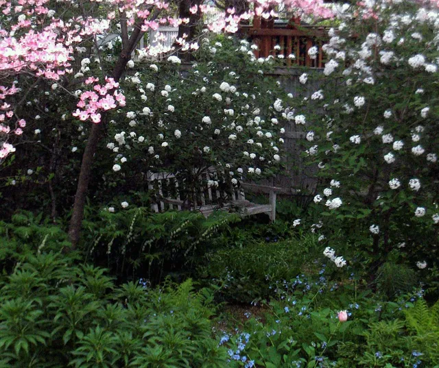 Trifolium Garden Design work photo