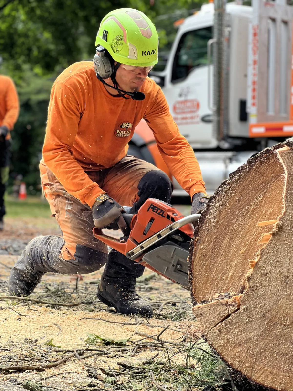 work photo from walnuttreeservice.com