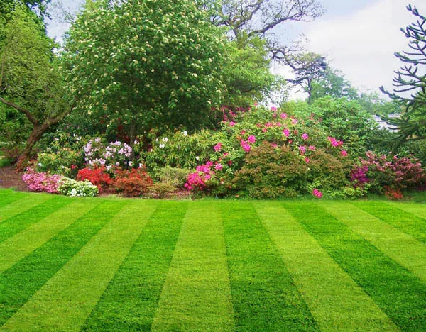 AZ-U-MAK-IT Lawn Care work photo