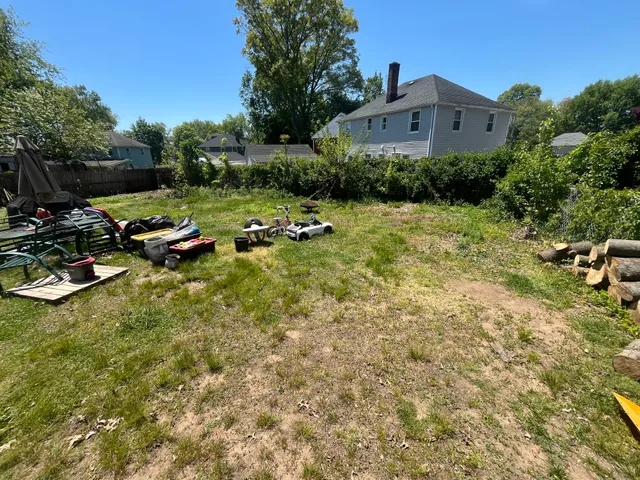 Elite tree removal LLC work photo
