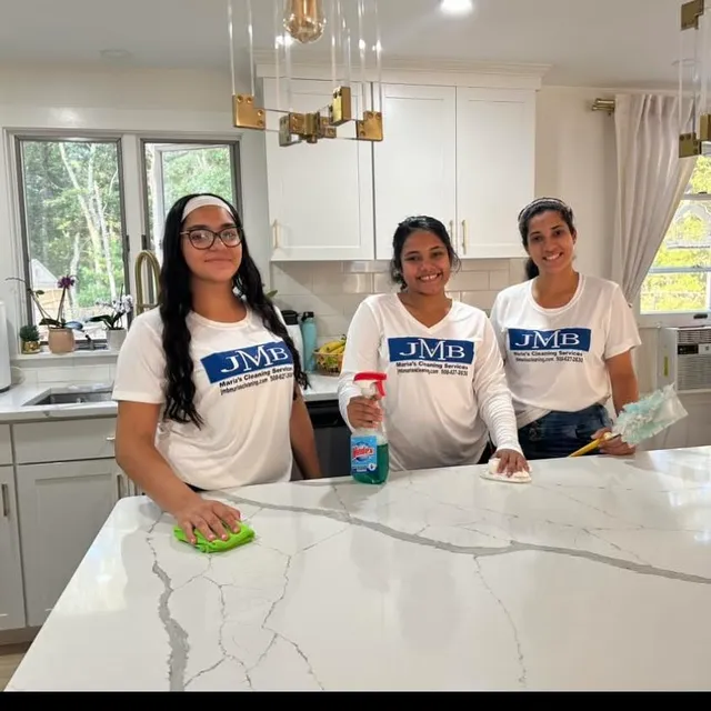 Maria Cleaning Services researched project photo