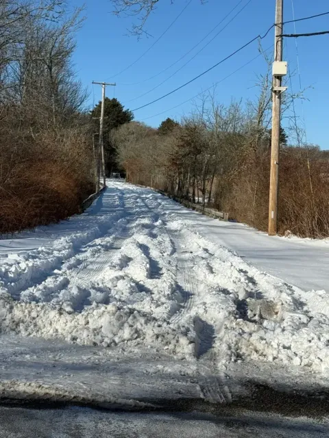 Snow-covered rural road with tire tracks, trees, and utility poles under a clear blue sky