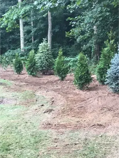 work photo from njmlandscapingandexcavation.com