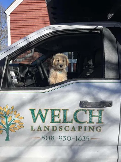 Welch Landscaping project — South Shore lawn care and landscape construction