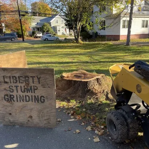 work photo from libertystumpgrinding.com