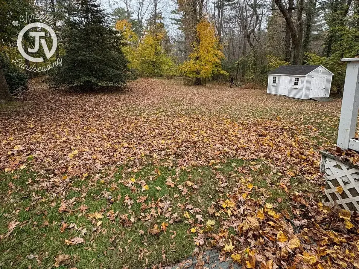 Backyard before fall cleanup by Vincenti Landscaping