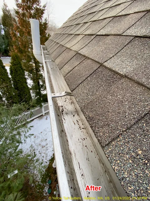 Yellowtail Gutters work photo