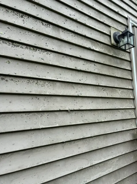 Before Lichen Removal from Vinyl Siding in Worcester County, MA — Pro Pressure Washing