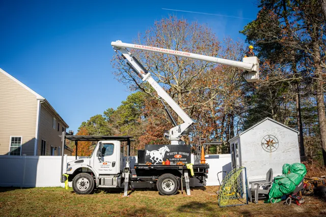 White Horse Lawn and Tree work photo