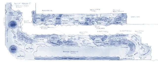 native pollinator garden landscape plan