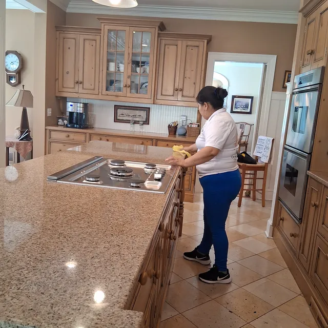 Elite Maids work photo