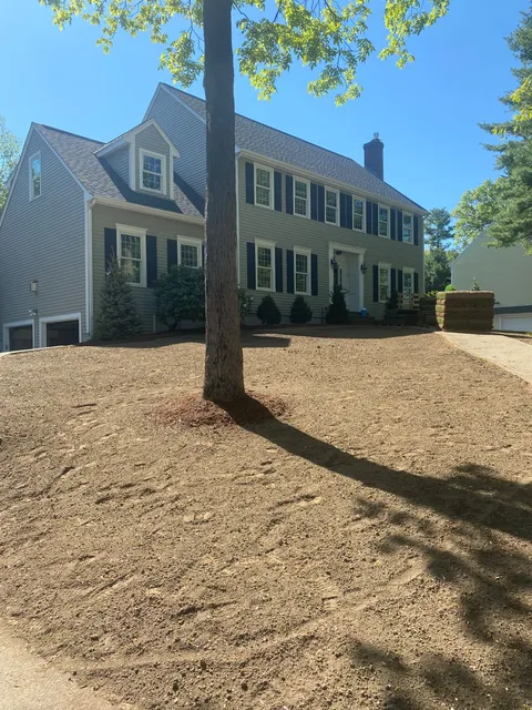 Before landscaping service