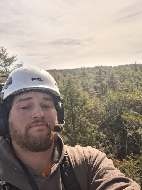 work photo from blackbeartreemaine.com