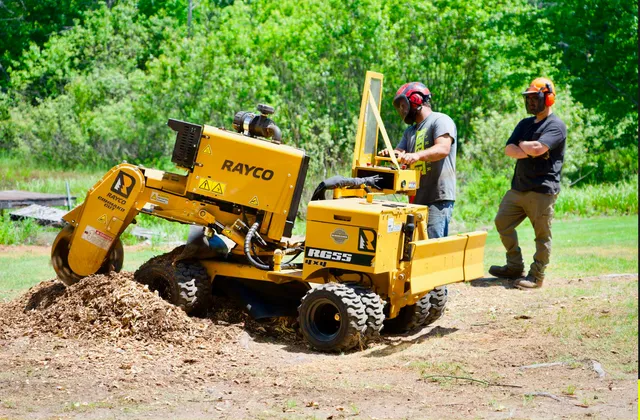Gardner Tree Service work photo
