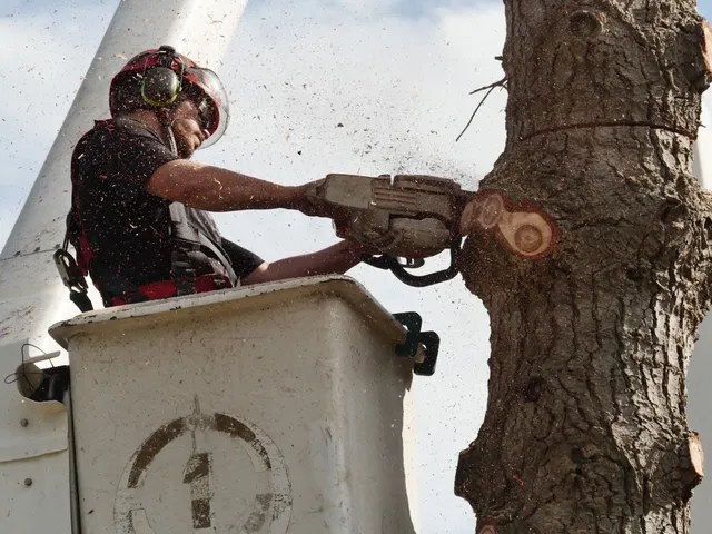 Tree removal cover replacement