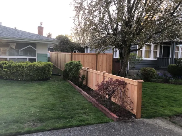 Stefan fence.jpg