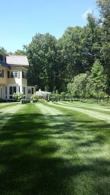 Rutland Turfcare & Pest Control work photo