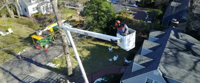 work photo from treeserviceconn.com