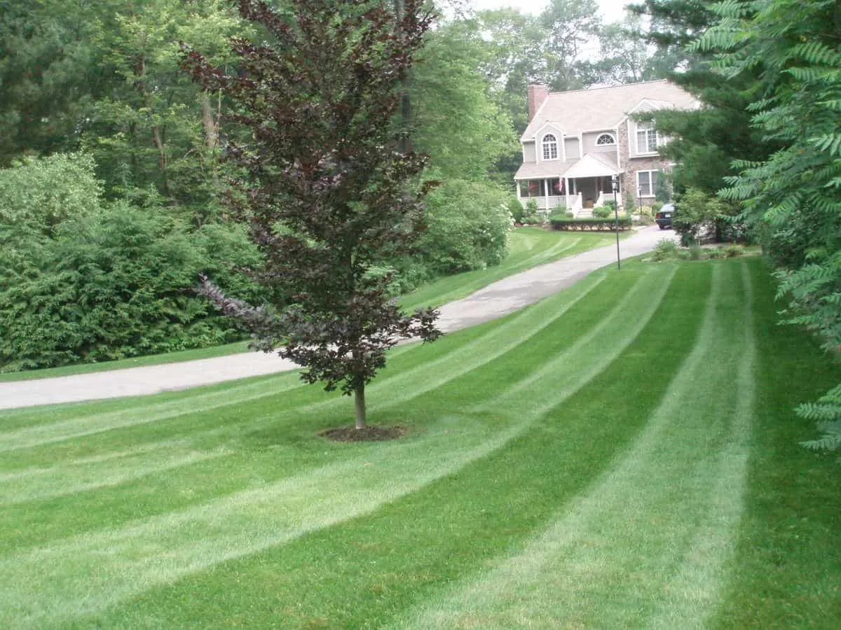 work photo from randalllandscaping.com