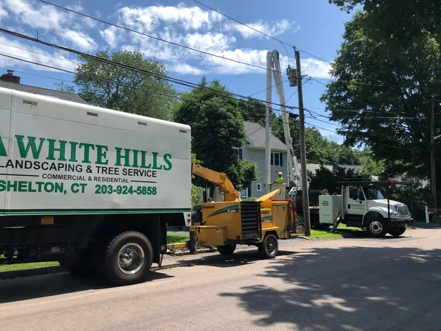 White Hills Landscaping & Tree Service, LLC work photo