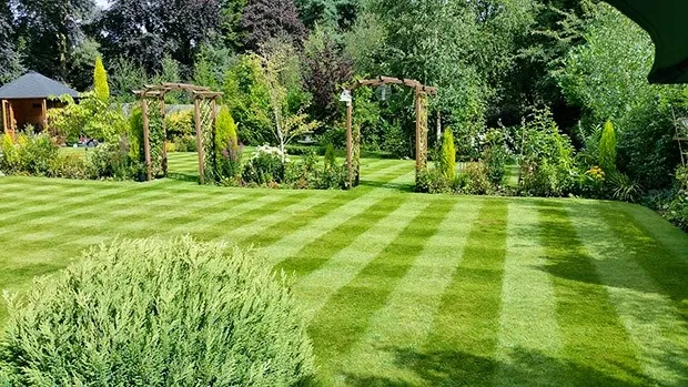 PORTILLO H LANDSCAPING