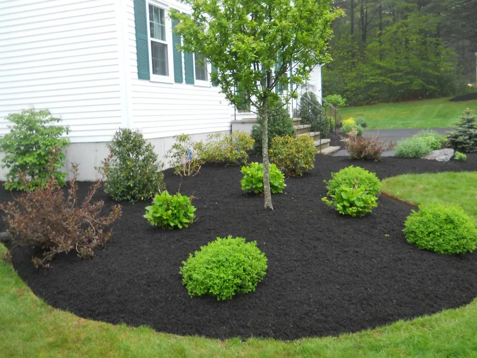 The Lawn King researched project photo