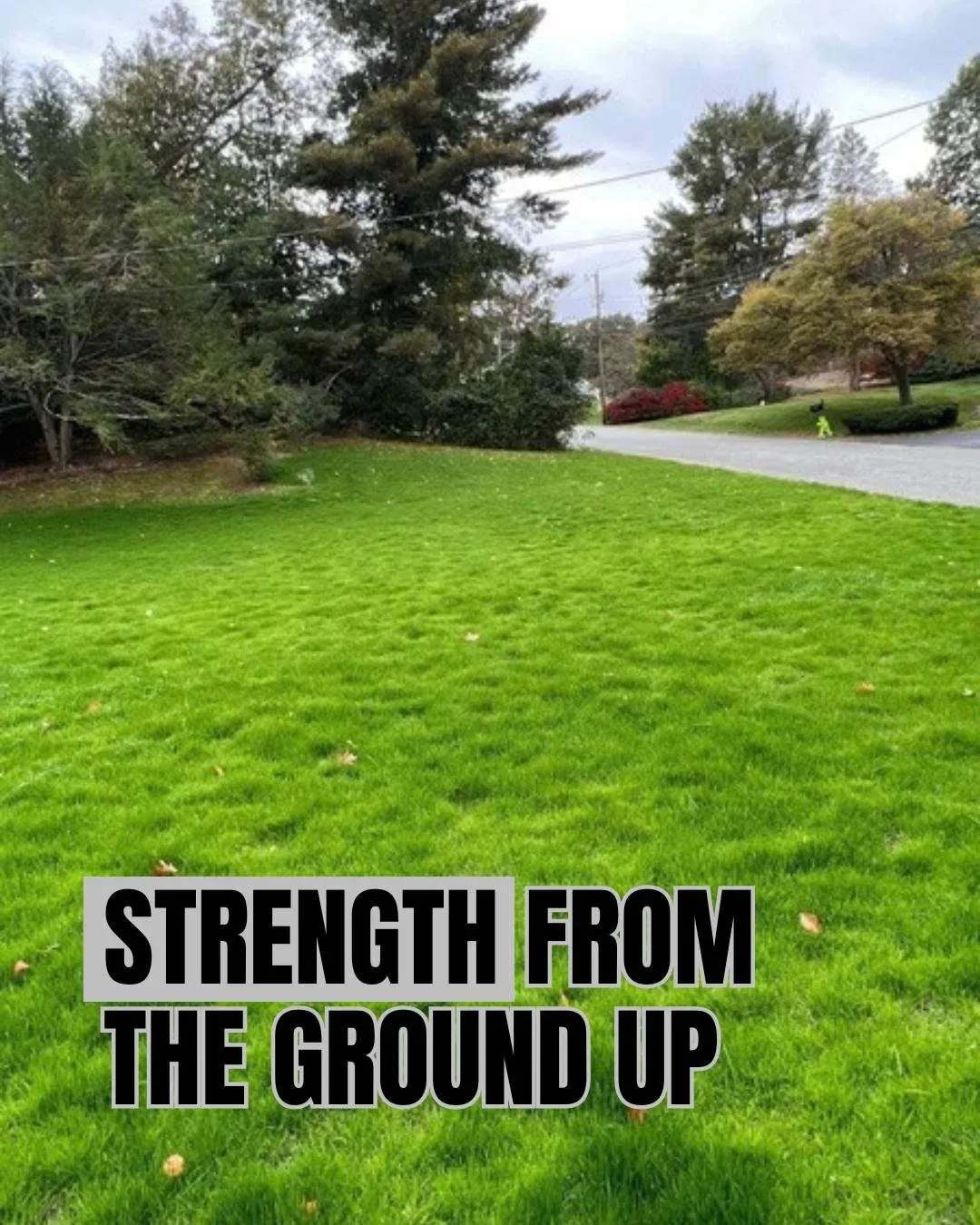 A great lawn starts below the surface

From proper soil prep to precision seeding, every step matters if you want lasting results

Call 781-835-8864 or visit masslawnpros.com to get started

#lawninstallation #lawncare #southshorema #newlawn #landsca