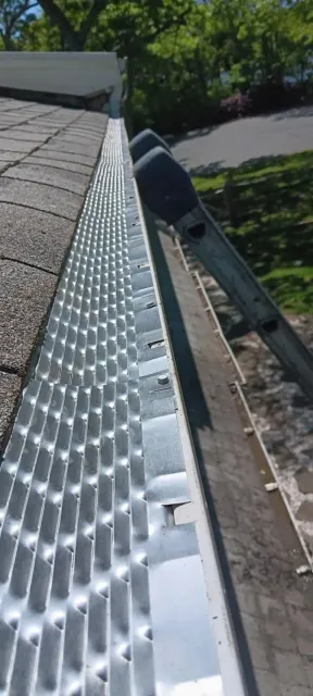 Close-up of a rooftop gutter and shingles with bright sunlight and trees in the background