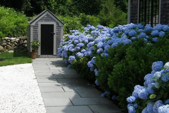Paul Maue Associates Landscape Architects researched project photo