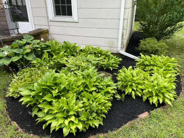 work photo from irriscapelandscaping.com