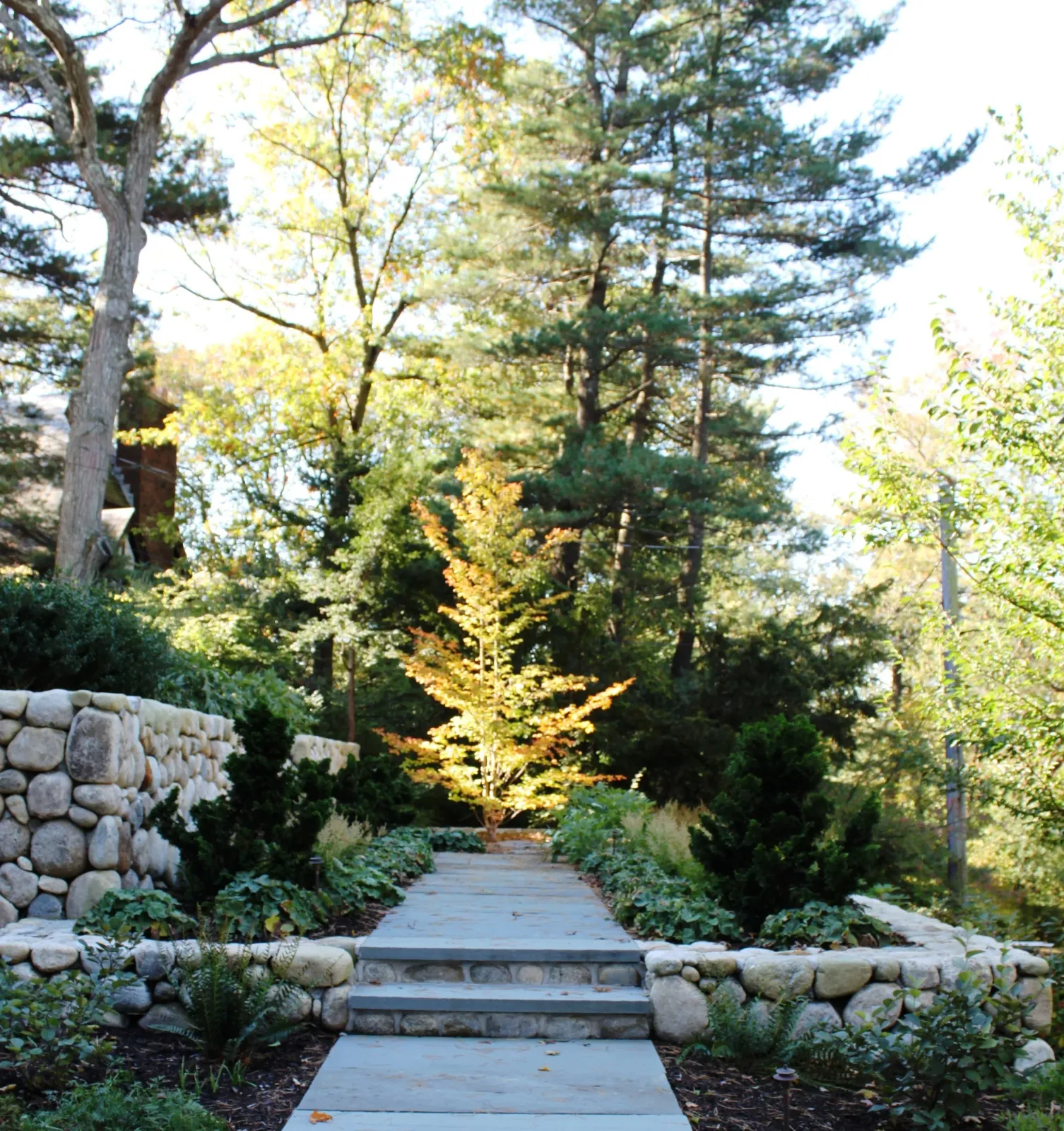 ADDITION/SITE DESIGN | NEWTON MA