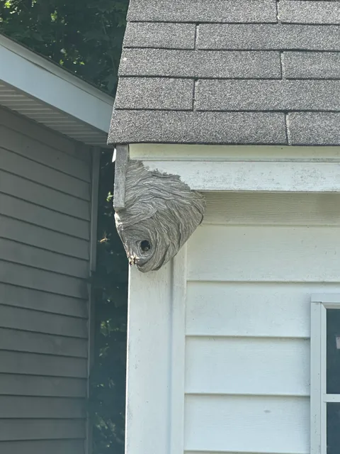 Pest Specialist LLC work photo