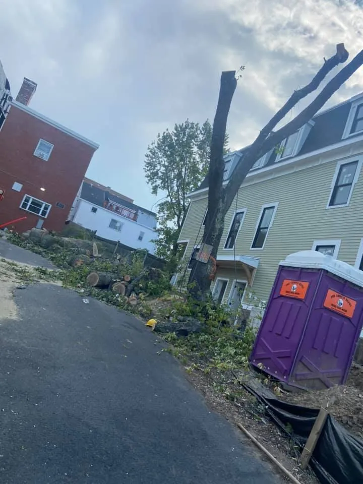 Boston Landscaping and Lawn Specialist