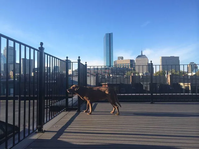 Roof deck built in Boston's South End with skyline view