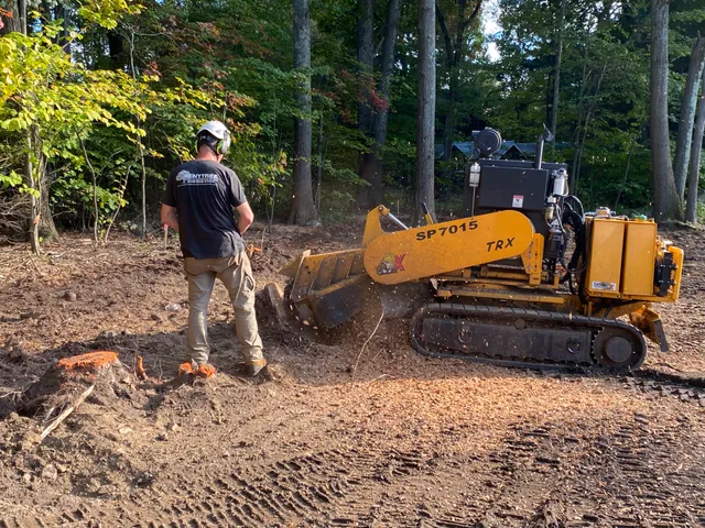 Kent Tree and Landscape work photo