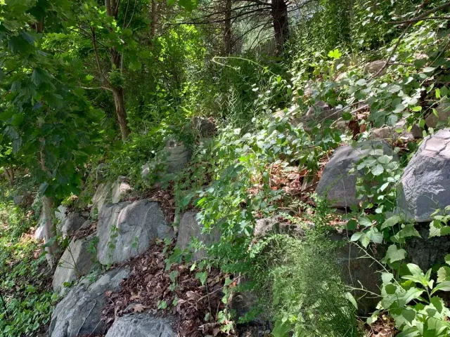 Before - Dover, MA