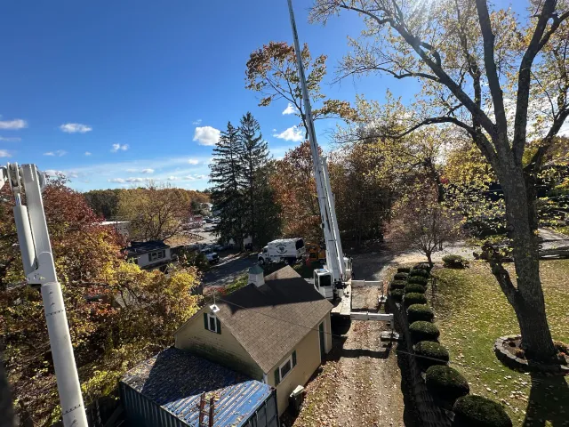 crane tree removal edgar and sons salem NH