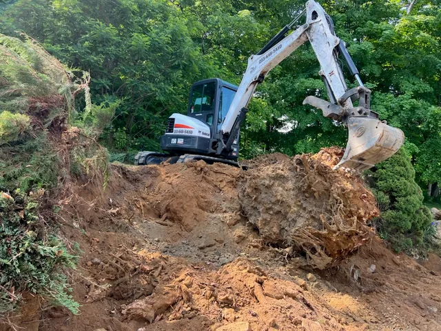 M&J Tree Service LLC. work photo