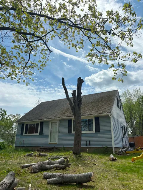 TreeWork 1 - After