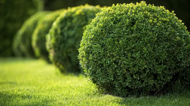 Clean-Cut Landscaping Lawn Maintenance, Snow Removal & Snow Plowing and Construction Maintenance slide 1