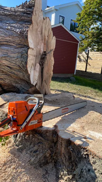Sebastian Landscaping & Tree Services LLC