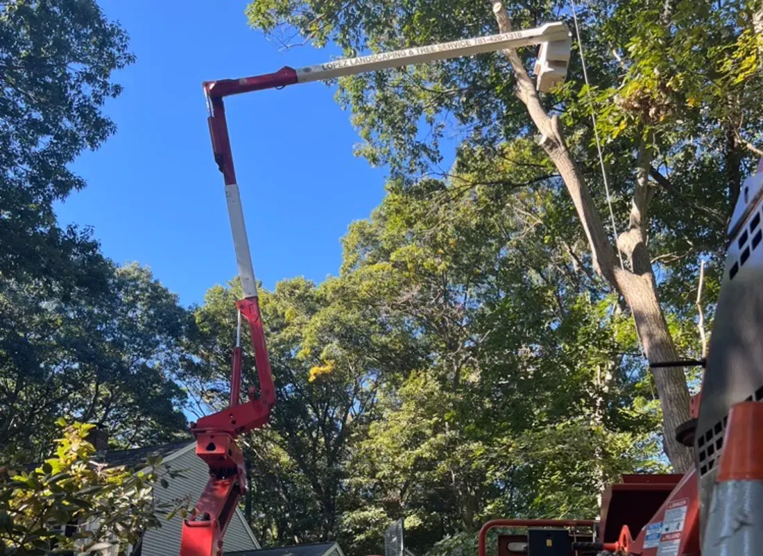 1st Crane w operator_gallery